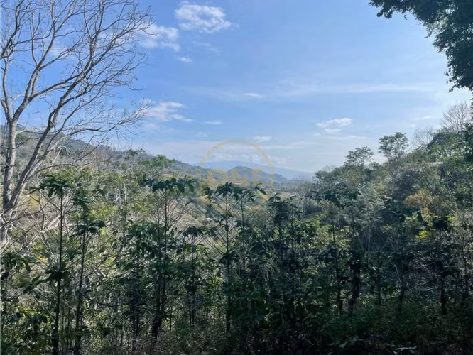 Venta Finca de Cafe, Beneficio y casa en Atenas - Imagen 11