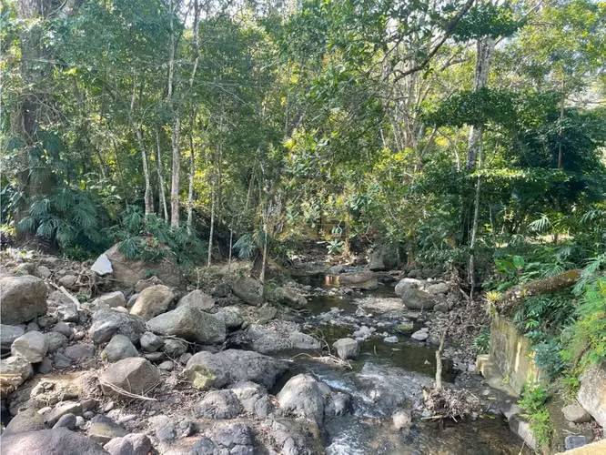 Venta Finca de Cafe, Beneficio y casa en Atenas - Imagen 8