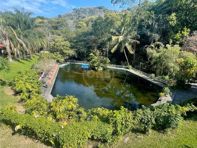 Venta Finca de Cafe, Beneficio y casa en Atenas - Imagen 20