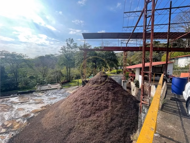 Venta Finca de Cafe, Beneficio y casa en Atenas - Imagen 5