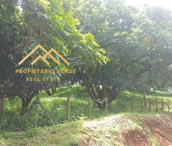 Venta - Imagen 18