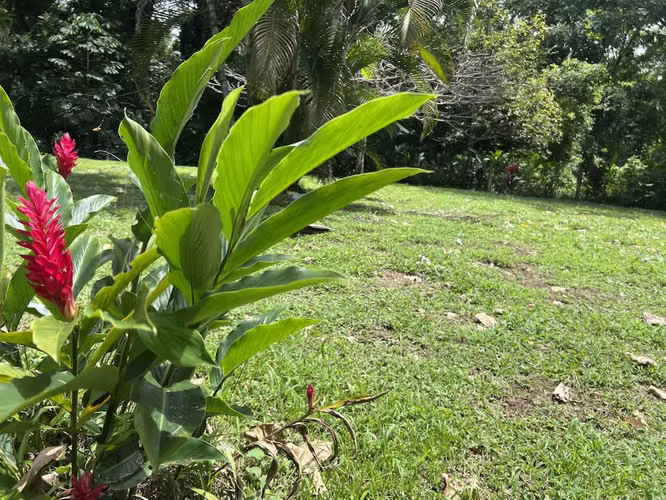 Lote en Venta en La Fortuna de San Carlos - Imagen 20