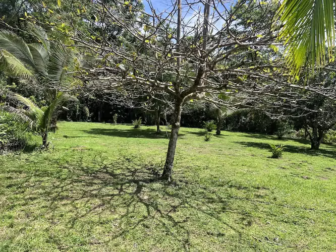 Lote en Venta en La Fortuna de San Carlos - Imagen 8