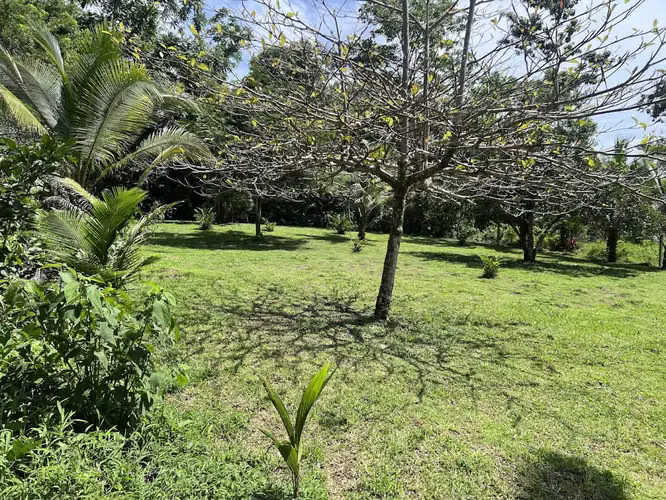 Lote en Venta en La Fortuna de San Carlos - Imagen 6