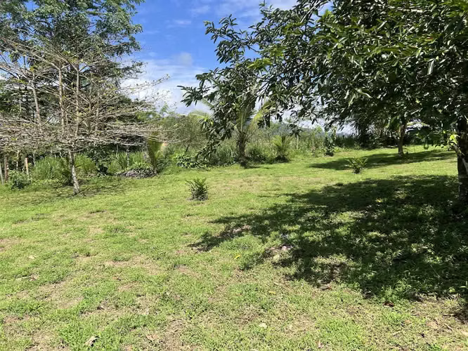 Lote en Venta en La Fortuna de San Carlos - Imagen 5