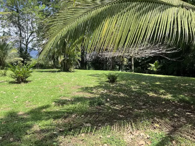 Lote en Venta en La Fortuna de San Carlos - Imagen 17