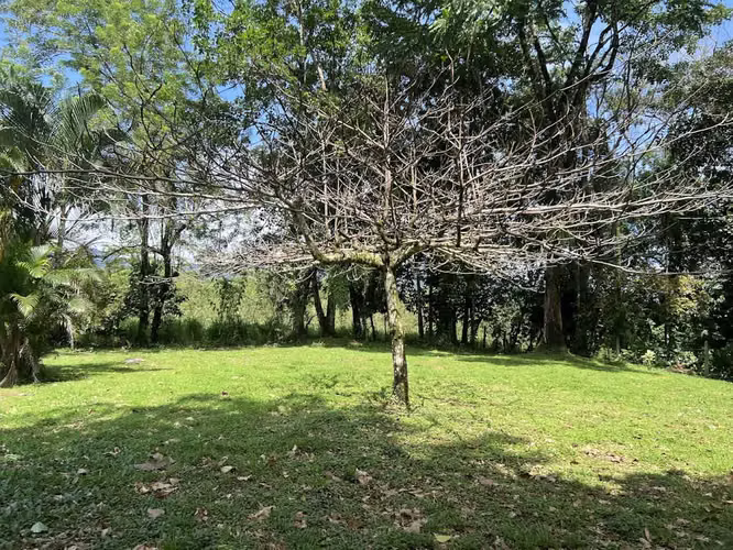 Lote en Venta en La Fortuna de San Carlos - Imagen 15