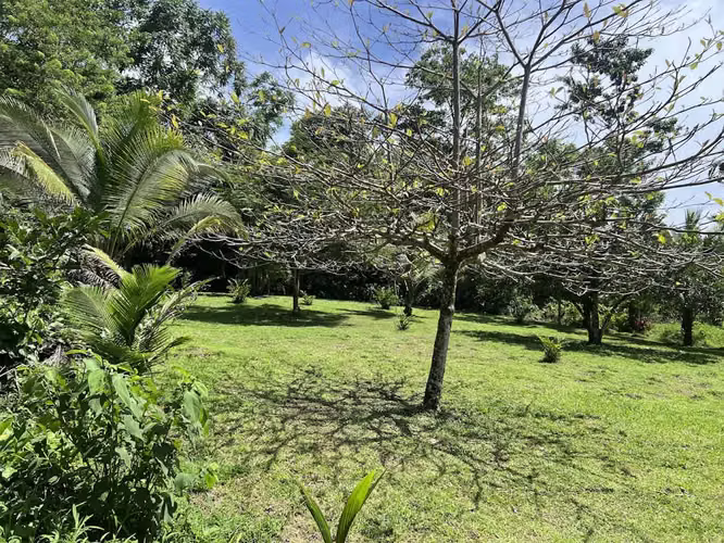 Lote en Venta en La Fortuna de San Carlos - Imagen 4
