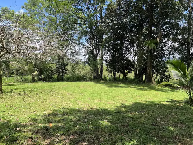 Lote en Venta en La Fortuna de San Carlos - Imagen 7