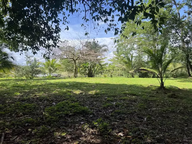 Lote en Venta en La Fortuna de San Carlos - Imagen 11