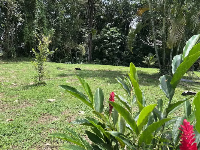 Lote en Venta en La Fortuna de San Carlos - Imagen 19