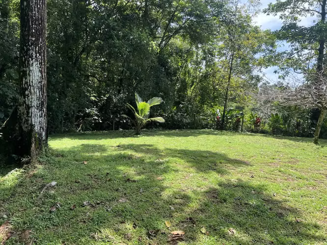 Lote en Venta en La Fortuna de San Carlos - Imagen 2