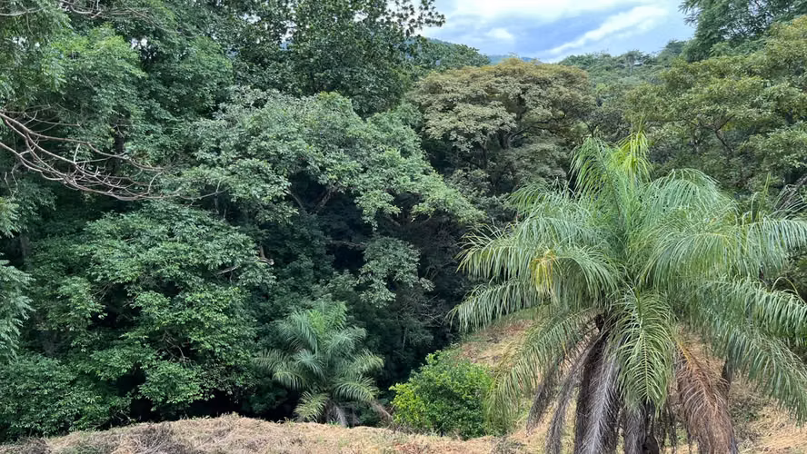 Venta Quinta en Hacienda Los Manantiales, San Pedro de Turrubares - Imagen 8