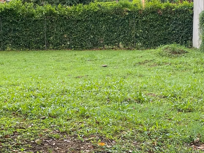 Lote de oportunidad en venta cerca de Playa Avellanas, Monte Donato. - Imagen 3