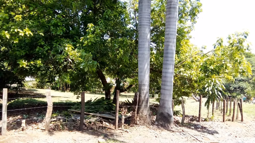 VENTA TERRENO OROTINA ALAJUELA