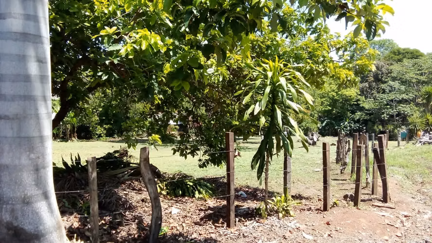 VENTA TERRENO OROTINA ALAJUELA