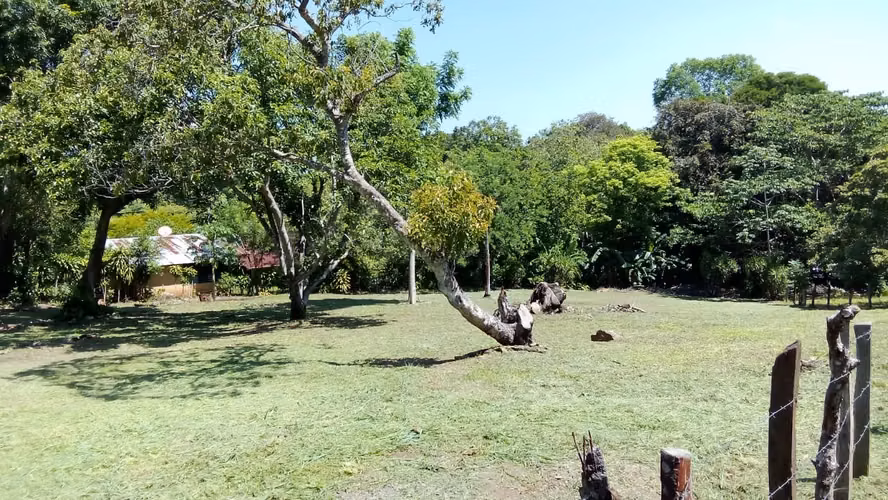 VENTA TERRENO OROTINA ALAJUELA