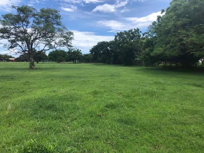 18.000m2 Bagaces, terreno frente a Interamericana - Imagen 8