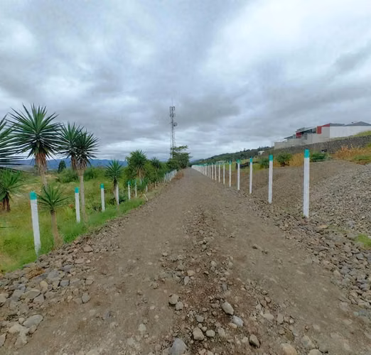 Venta de Quintas en Birrisito de Paraíso, Cartago - Imagen 9