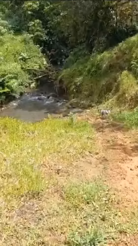Hermosa finca de oportunidad - Imagen 3