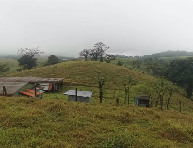 Hermosa finca de oportunidad - Imagen 12