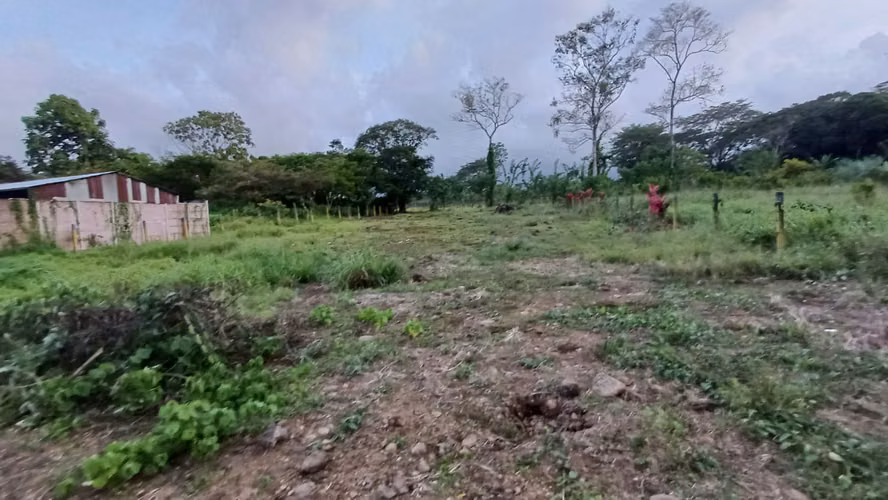 Terreno plano en Pocora, Guácimo — 2.626 m² para desarrollo
