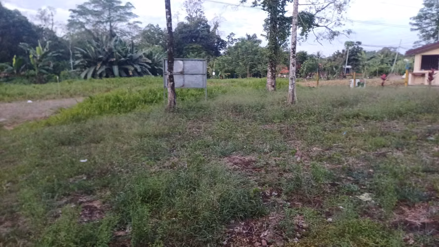 Terreno plano en Pocora, Guácimo — 2.626 m² para desarrollo