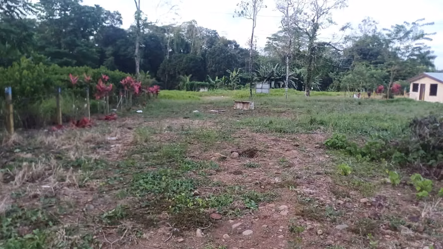 Terreno plano en Pocora, Guácimo — 2.626 m² para desarrollo