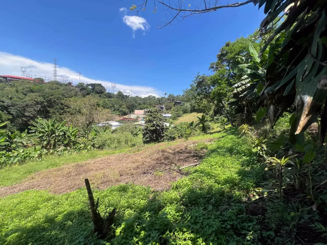 Finca de 1,500 m² en Dulce Nombre de Naranjo - Imagen 8