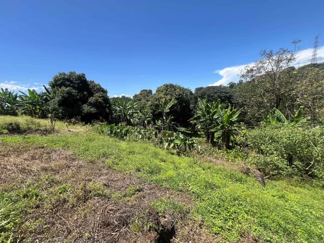 1,500 m² Farm in Dulce Nombre de Naranjo