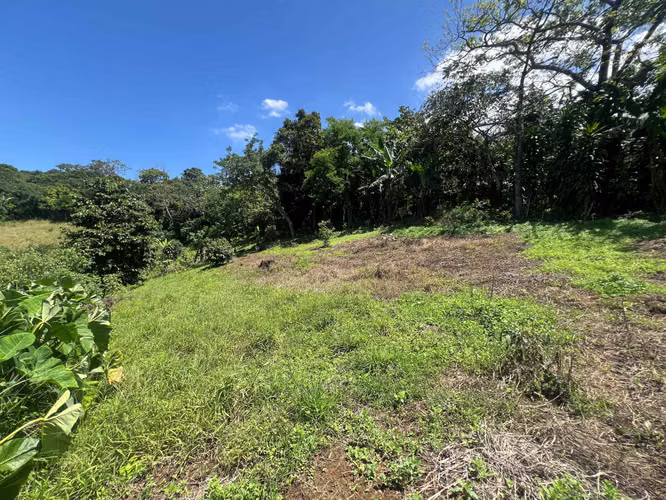 Finca de 1,500 m² en Dulce Nombre de Naranjo - Imagen 10