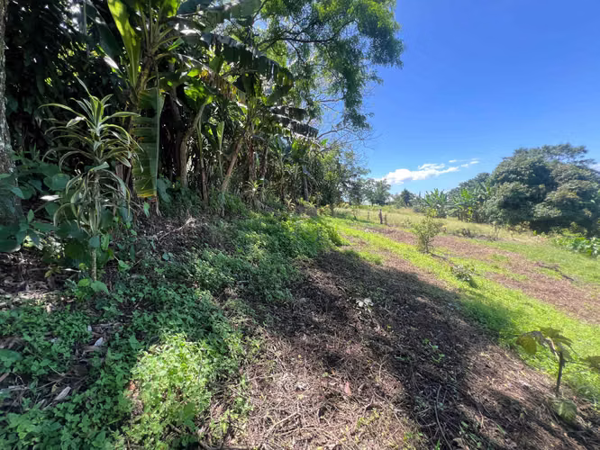 Finca de 1,500 m² en Dulce Nombre de Naranjo - Imagen 5
