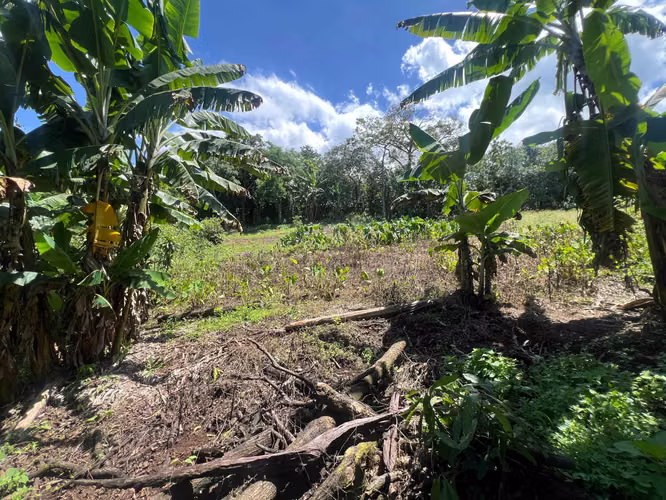 Finca de 1,500 m² en Dulce Nombre de Naranjo - Imagen 11