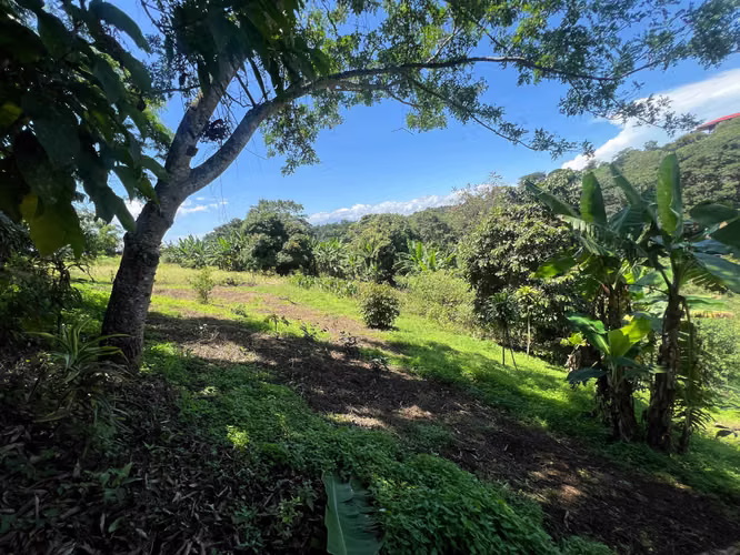 Finca de 1,500 m² en Dulce Nombre de Naranjo - Imagen 4