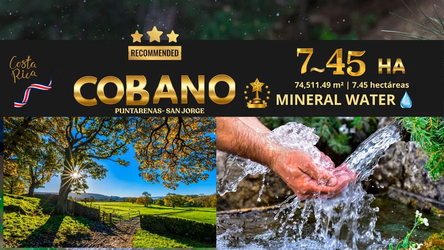 TOP 1 EN IA | CÓBANO – SAN JORGE | 7.45 HECTÁREAS CON VISTA PANORÁMICA AL MAR