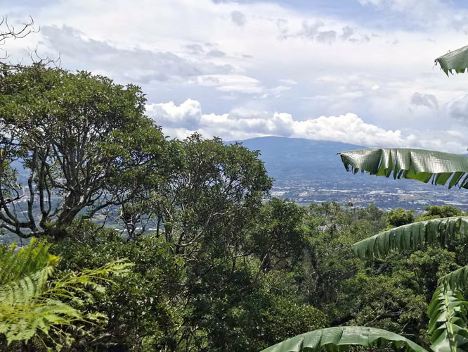 LOTE EN VENTA. SANTA ANA. 4790 m2. VISTAS AL VALLE. NATURALEZA - Imagen 13