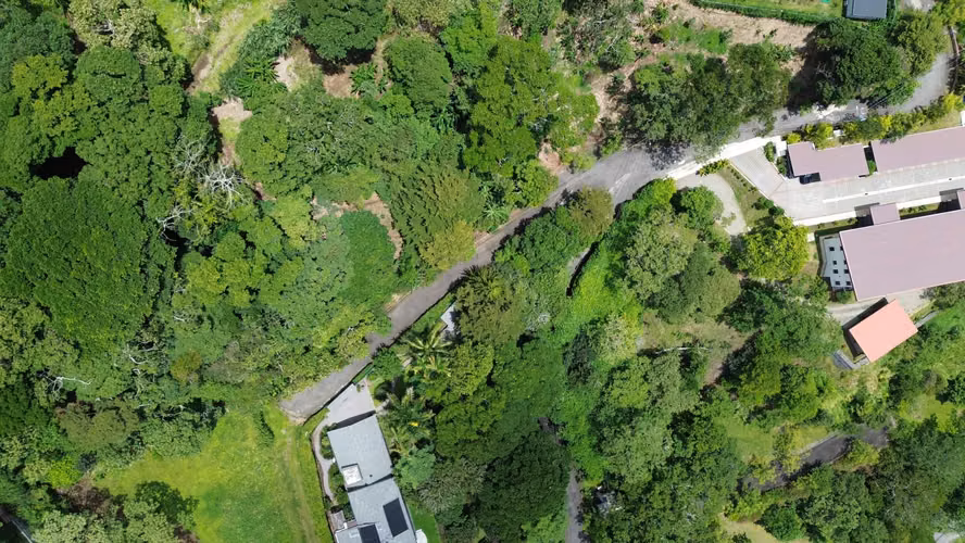 LOTE EN VENTA. SANTA ANA. 4790 m2. VISTAS AL VALLE. NATURALEZA - Imagen 19