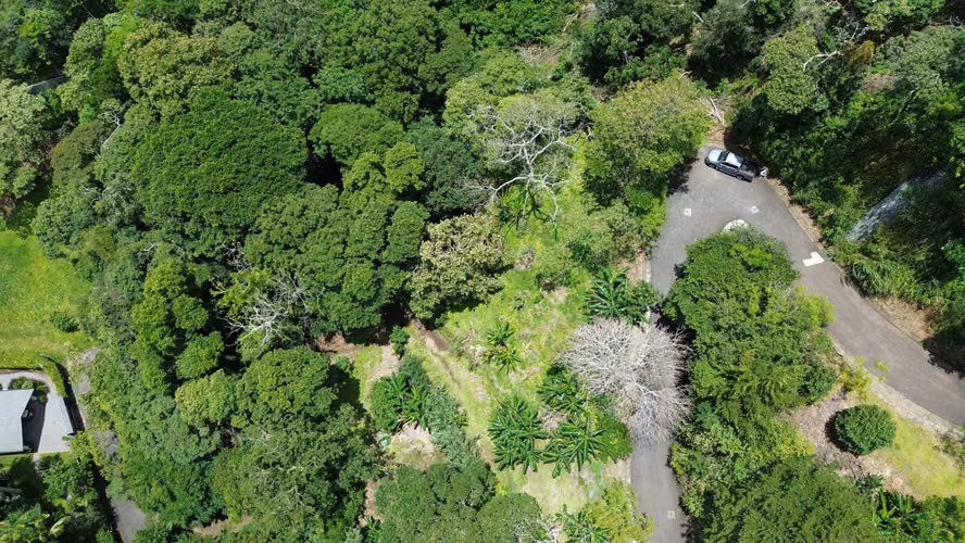 LOTE EN VENTA. SANTA ANA. 4790 m2. VISTAS AL VALLE. NATURALEZA - Imagen 17