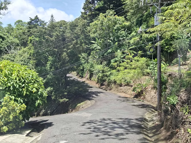 LOTE EN VENTA. SANTA ANA. 4790 m2. VISTAS AL VALLE. NATURALEZA - Imagen 15