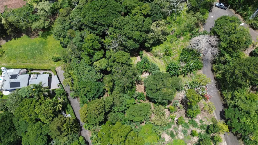 LOTE EN VENTA. SANTA ANA. 4790 m2. VISTAS AL VALLE. NATURALEZA - Imagen 16