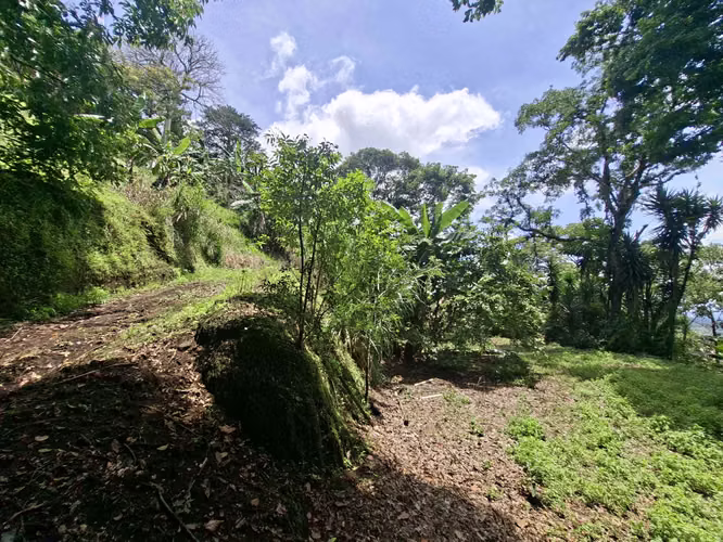 LOTE EN VENTA. SANTA ANA. 4790 m2. VISTAS AL VALLE. NATURALEZA - Imagen 3