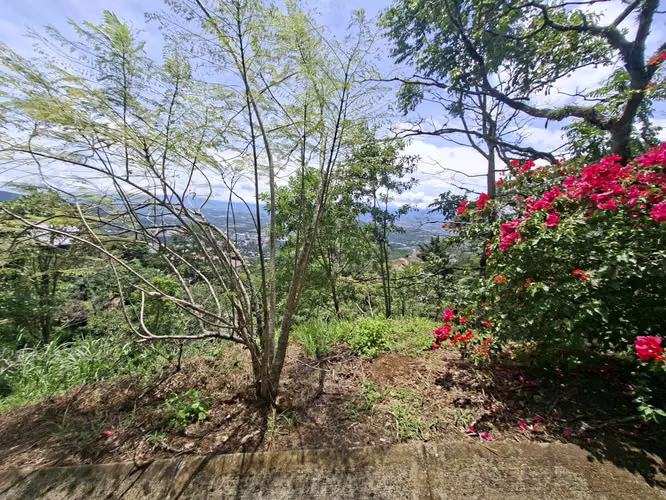 LOTE EN VENTA. SANTA ANA. 4790 m2. VISTAS AL VALLE. NATURALEZA - Imagen 10