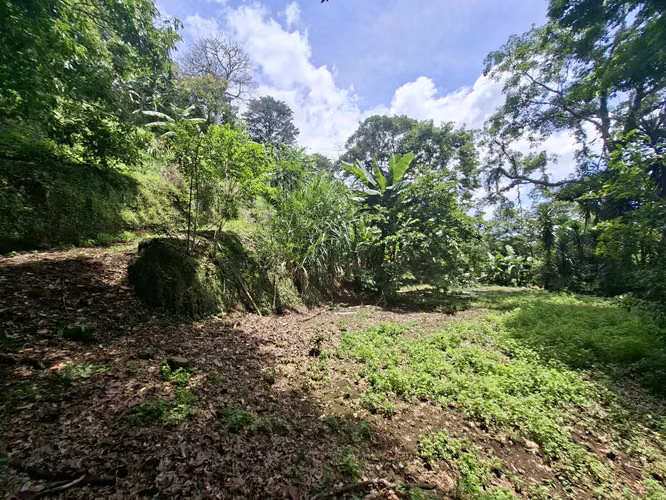 LOTE EN VENTA. SANTA ANA. 4790 m2. VISTAS AL VALLE. NATURALEZA - Imagen 6