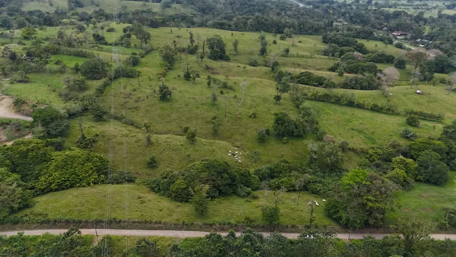 Terreno en Venta –  Guácimo, Limón - Imagen 5