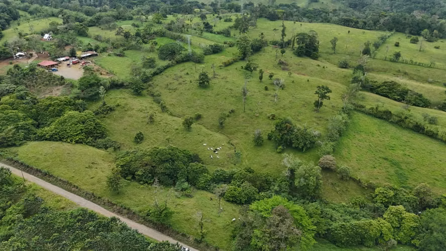 Terreno en Venta –  Guácimo, Limón - Imagen 2