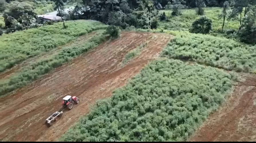Finca Agrícola en Venta
