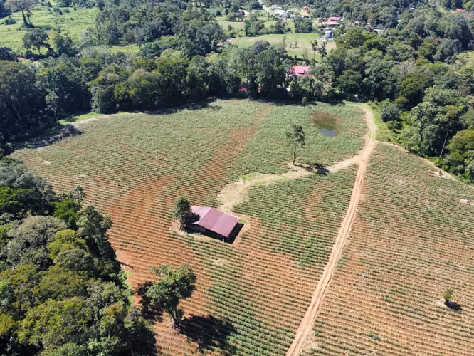 Finca Agrícola en Venta