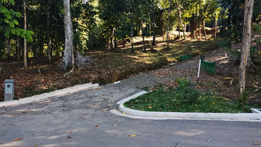 PRIME LOTS FOR SALE IN PUNTA UVITA ( BAHIA BALLENA)