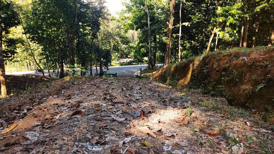 PRIME LOTS FOR SALE IN PUNTA UVITA ( BAHIA BALLENA)