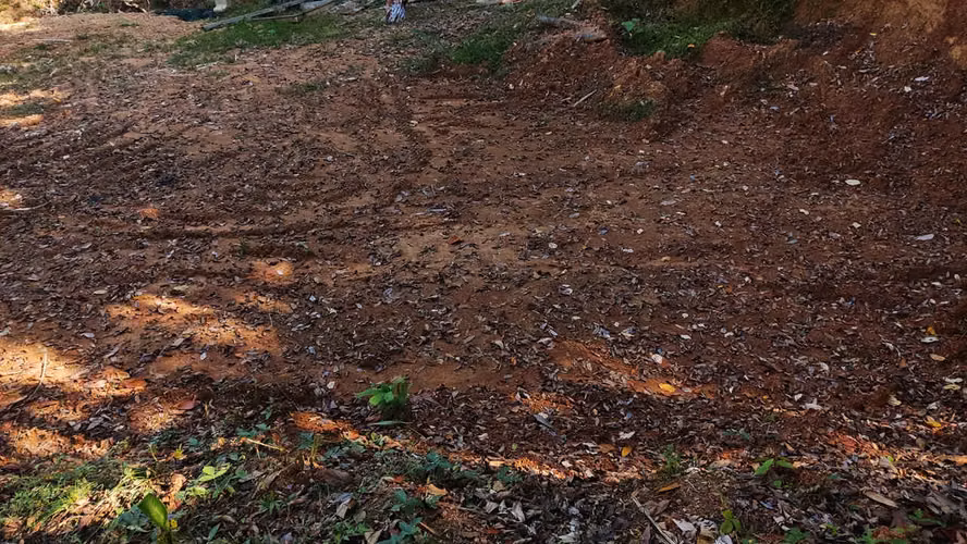 PRIME LOTS FOR SALE IN PUNTA UVITA ( BAHIA BALLENA)